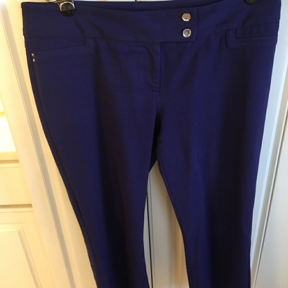 Alfani Blue Capri 